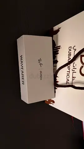 Rayban Meta Glasses