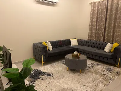 Luxury Brand New Sofa Set with Thick Foam Cushions and Modern Contemporary Appearance