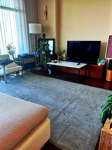 Large Neutral Grey Area Rug - Modern, Soft Pile, Good Condition