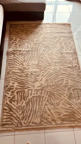 Beige Zebra-Pattern Area Rug - Good Used Condition