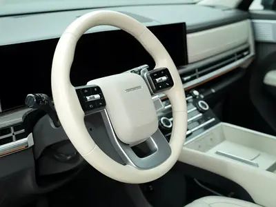 Hyundai Santa FE SE, миниатюра 11