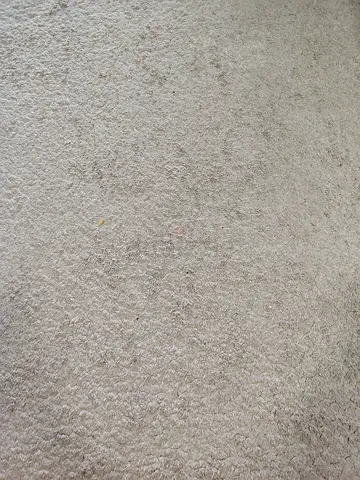 MOVING OUT SALE: Light beige carpet - soft pile, good condition