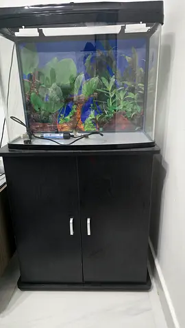 2ft Aquarium Tank with Brown Cabinet Stand