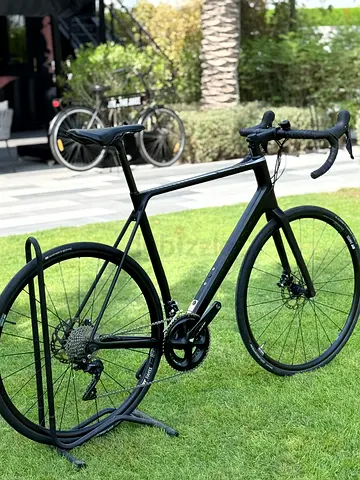 Canyon Endurance CF SL 2021