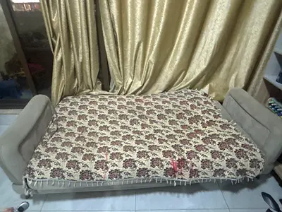 Furniture- Sofa bed
