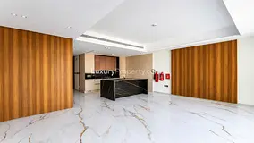 Vacant November | Furnished | Large Plot — 2