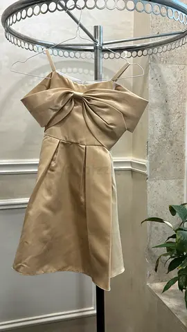 فستان سهرة أطفال شامبين بتصميم ناعم وفيونكة Chic Kids Short Champagne Evening Gown with Bow