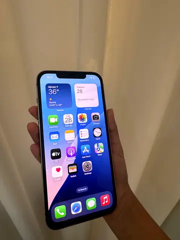 iPhone 12 Pro Max