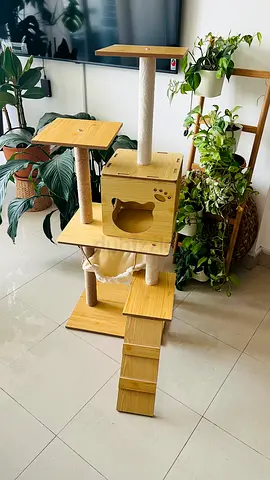 Cat tree brand new!