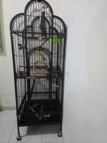 Large metal bird cage with perches and wheels - good condition