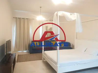 9 Wardrobes | 18 Tiles | Fully furnished studio for rent.