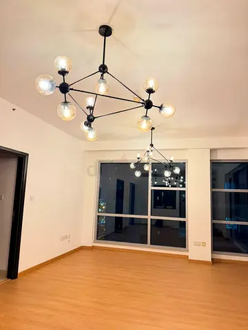 Designer ceiling lights - set of 2