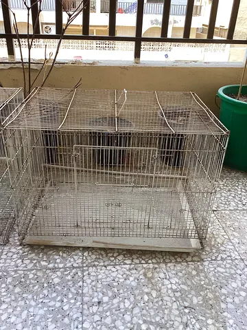 Two medium size cages for sale urgent (25aed )each