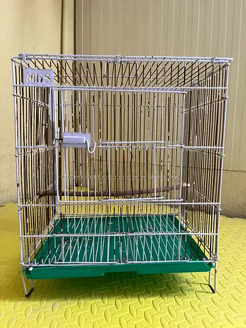 Birds cage