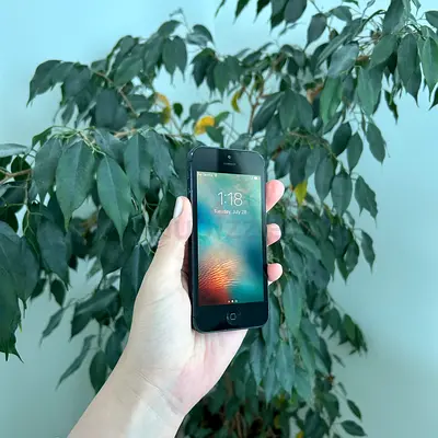 iPhone 5 64GB