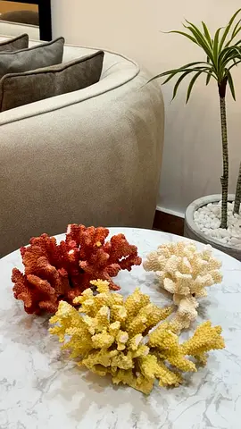 Decorative Coral Table Ornaments