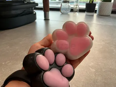 Pair of paw squishy