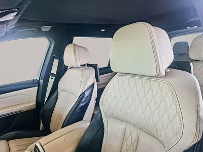 2019 BMW X7 照片 12
