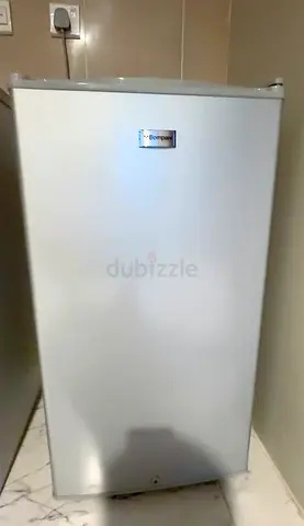 Bompani Mini Fridge Silver