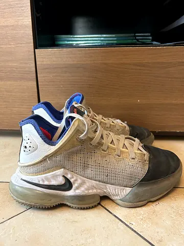 Nike LeBron Basketball Shoes – US Size 7