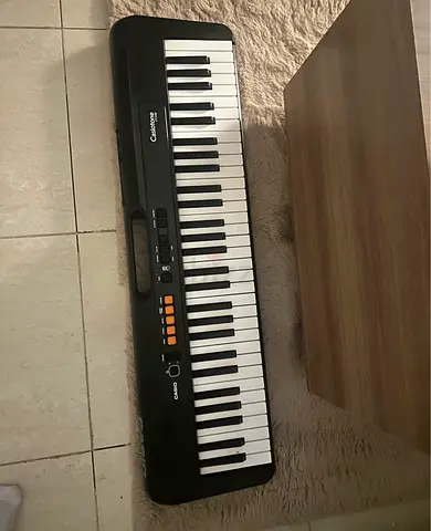 Casio ct-s100 with stand