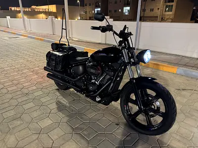 2024 Harley Davidson Softail Street Bob