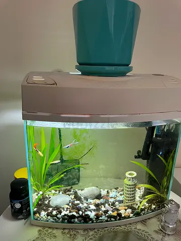 Small fish aquarium tank with LED light, filter and accessories