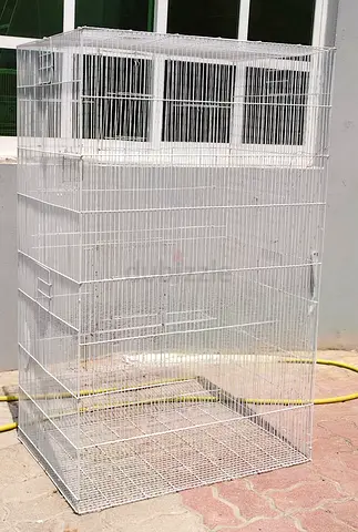Large birds cage
