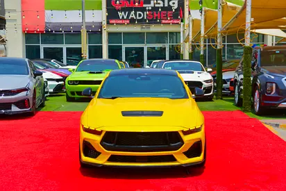 2024 FORD MUSTANG 照片 2