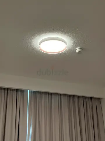 Round ceiling light fixture - modern flush mount