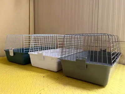 Rabbit cage