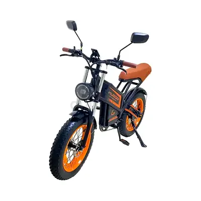 Kugoo V5 Electric Bike – 750W Motor, 55KM Range, 50KM/h Speed