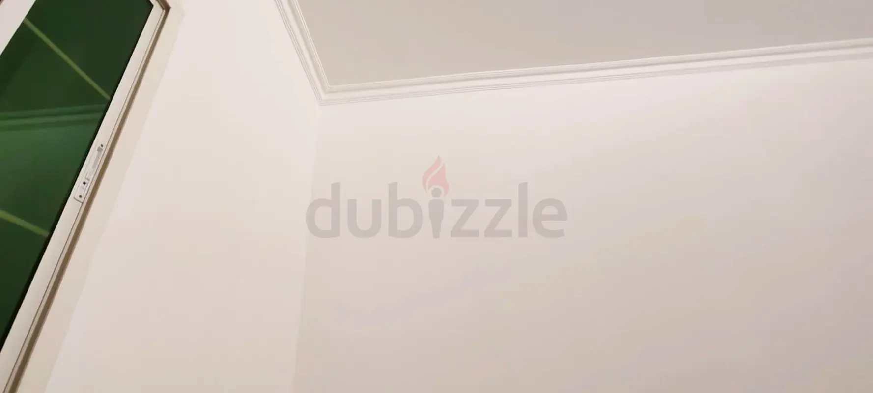 DPV_View_Image_1