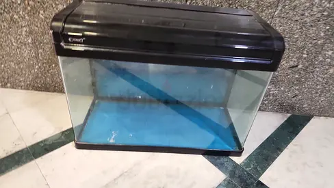Aquarium for fish