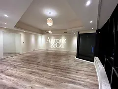 Upgraded Flooring | Close to Metro | Lake View