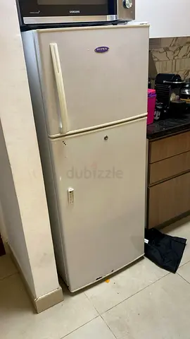 Old double-door refrigerator - good working condition