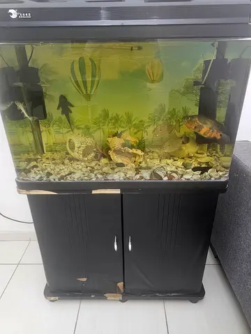 120cm Fish Tank with Cabinet and Accessories - Ready to Move