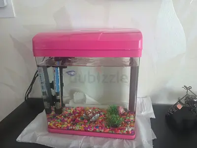 Small pink desktop aquarium fish tank with filter and heater