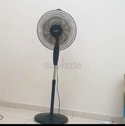 السارقة