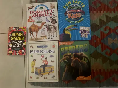 Childrens activity and non-fiction book bundle — animals, spiders, paper folding, puzzles (5 books)