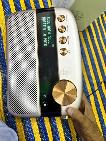 Saregama carvaan rose gold portable sapker