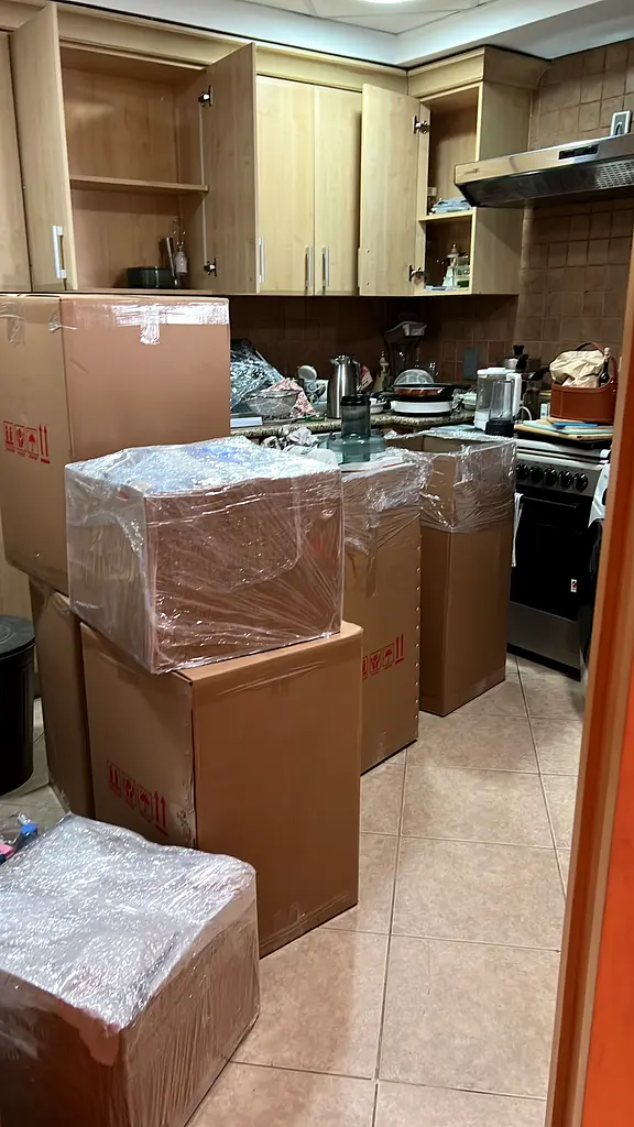 DPV_View_Image_2