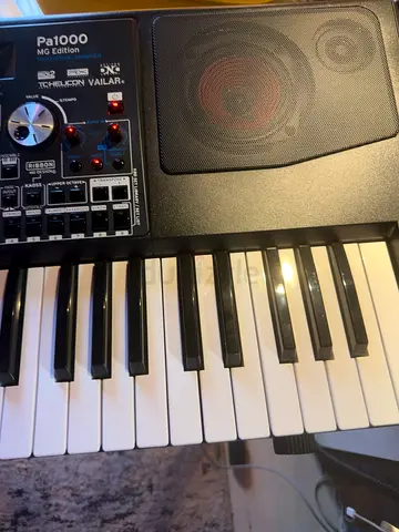Korg Pa1000 MG Edition