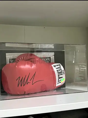 Signed mike Tyson boxing gloves with original certificate
