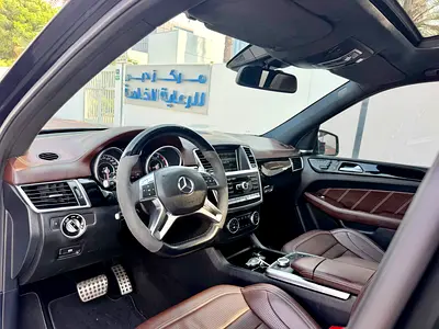 2014 Mercedes-BENZ M-CLASS 照片 9