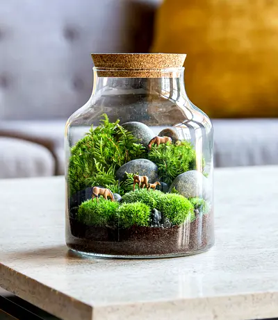 Glass Terrarium Jar with Live Moss Miniature Scene