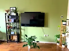Flatmate for upgraded studio in Discovery Gardens