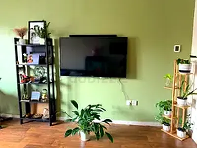Flatmate for upgraded studio in Discovery Gardens