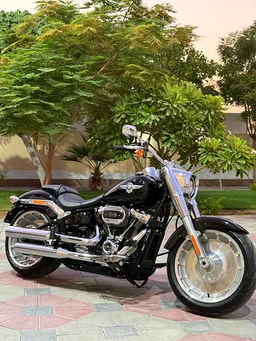 FatBoy 2021 like brand New