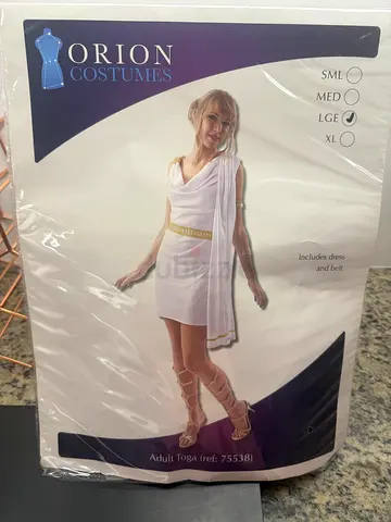 Greek Goddess Fancy Dress Costume